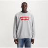 LS - Printed Terry Sweatshirt - Grey